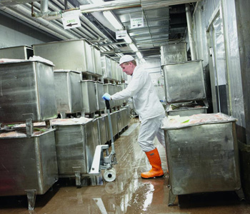 Toyota kézi raklapemelő nedves környezethez